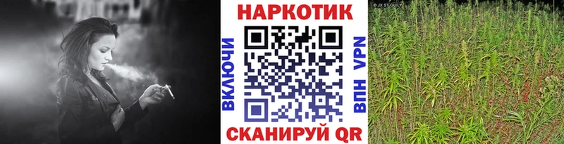 Продажа наркотиков Новоалександровск ГАШ  Марихуана  Cocaine  Меф 