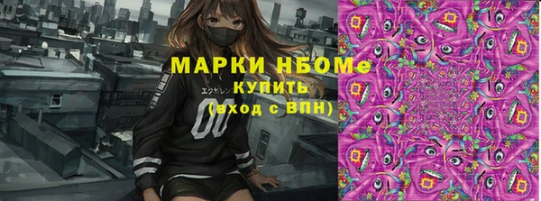 PSILOCYBIN Лихославль
