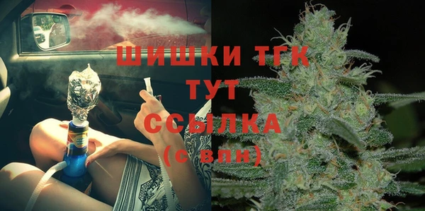 PSILOCYBIN Лихославль