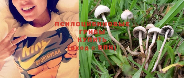 PSILOCYBIN Лихославль