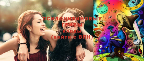 PSILOCYBIN Лихославль