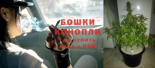 spice Лиски